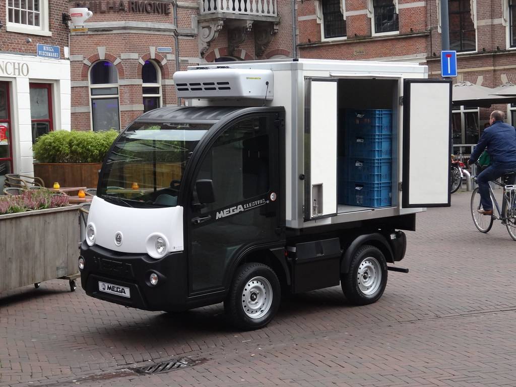 Electric Utility Vehicle Replacement Batteries